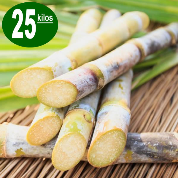 Caña limpia para mojitos 25kg
